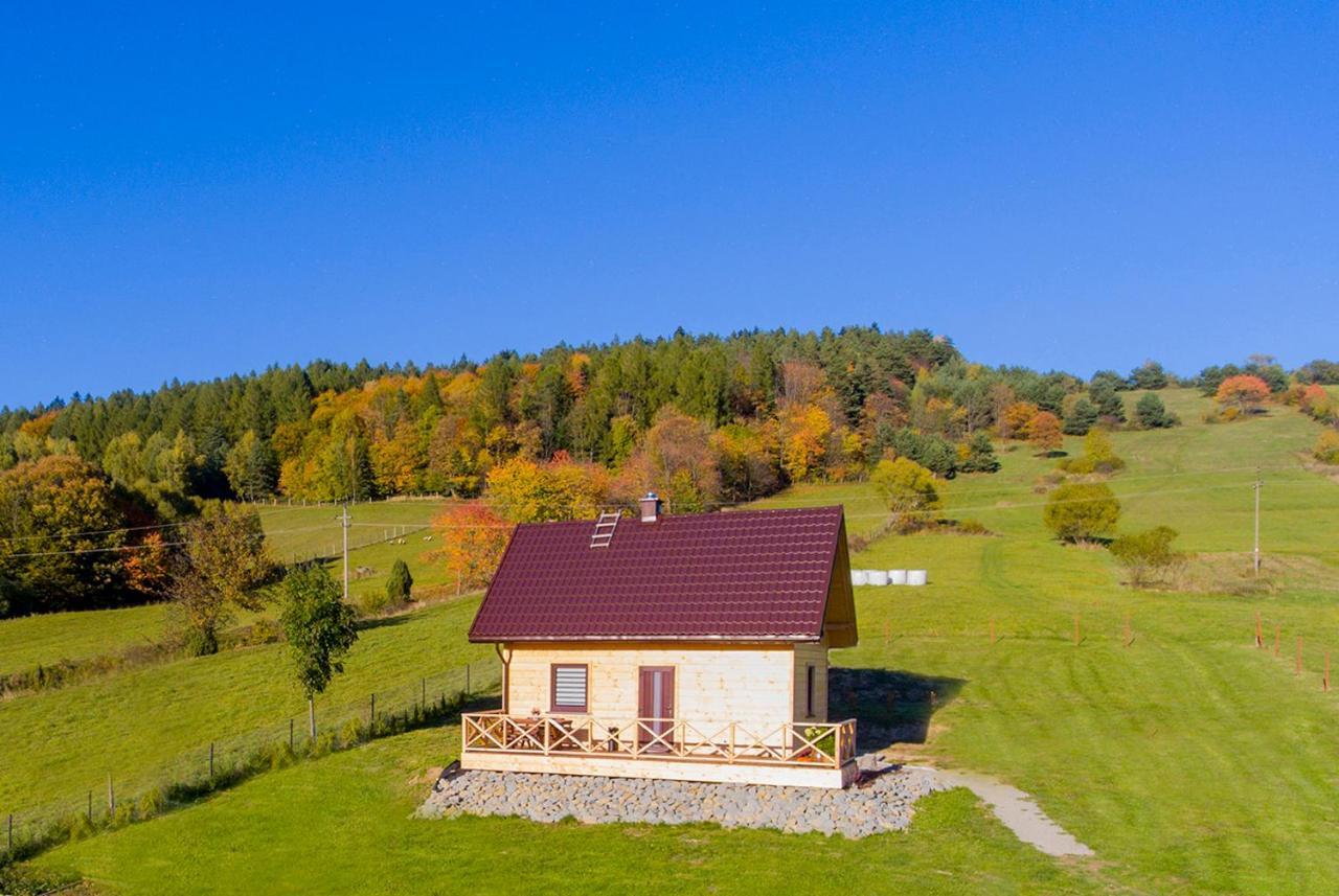 Orlikowe Wzgorze Holiday home *